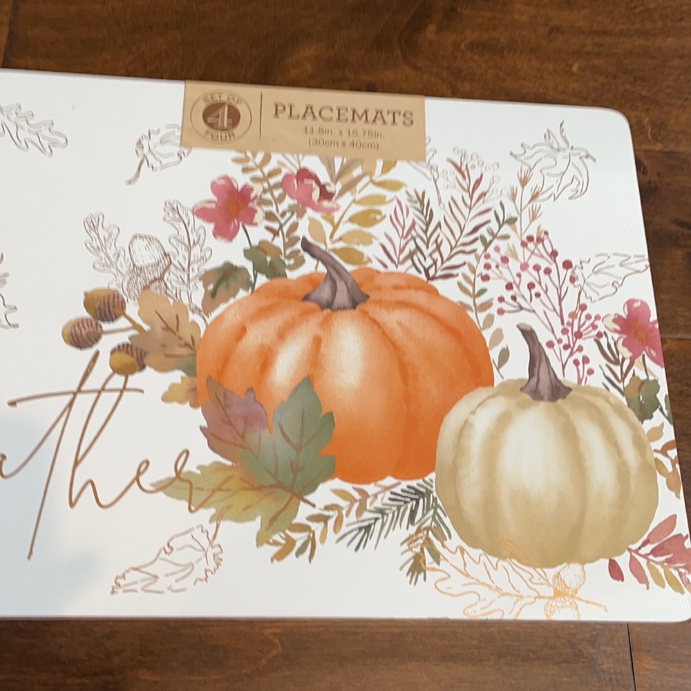 4 PLACEMATS CORK BACK FALL, LEAVES PUMPKINS - Picture 3 of 4